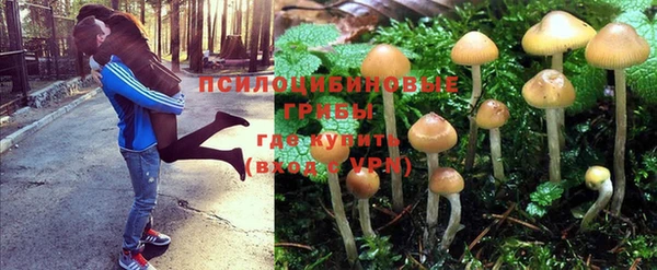 соль курить ск Бугульма