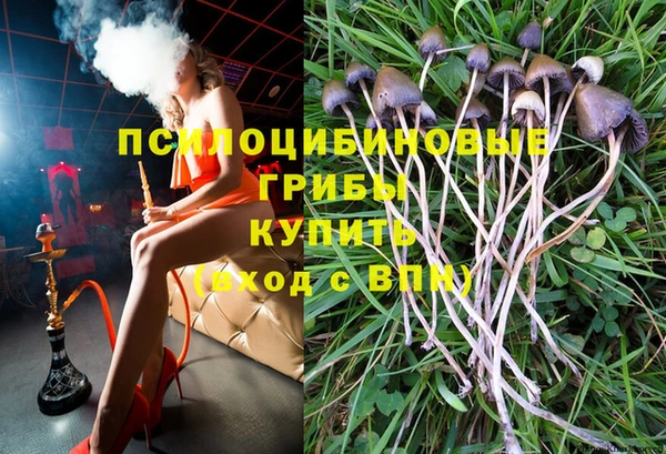 эйфоретик Богородицк